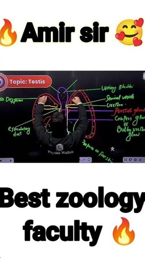 Human Reproductive System in 30 Seconds 😱 | Class 12 Biology #shots #shortsfeed 
