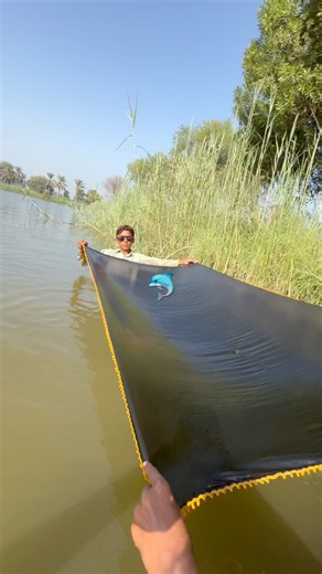 #fishing #fish