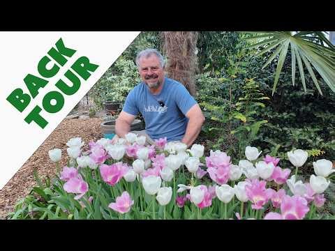 Early Spring Backyard Garden Tour