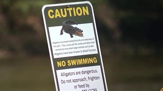 New report details deadly alligator attack at Lake Kissimmee State Park