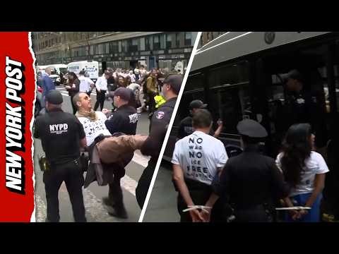 300 Protesters Stage Sit-In, NYPD Makes Mass Arrests Outside NY Senators' Offices