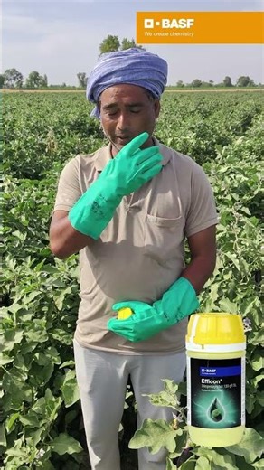 BASF Exponus & BASF Efficon