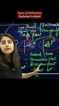Types Of Pollination Explained | Seep Pahuja