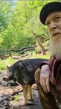 3 Hidden Wilderness Dog Parks in the Twin Cities 🌲