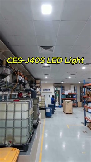 Chemical Storage Room Lighting | Recessed EX LED (CES-J40S)