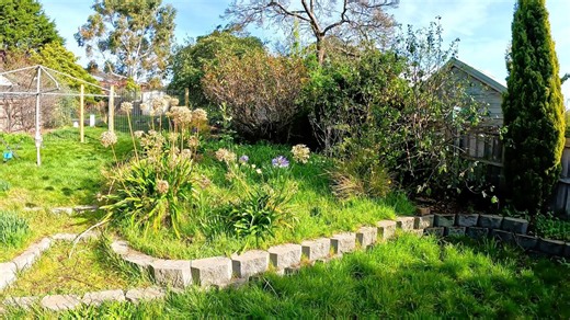 A Crazy Garden Restoration
