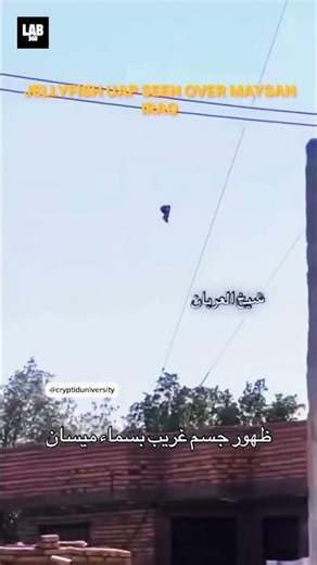 What Is THIS Floating Over Iraq?! 😳 #trending #shorts