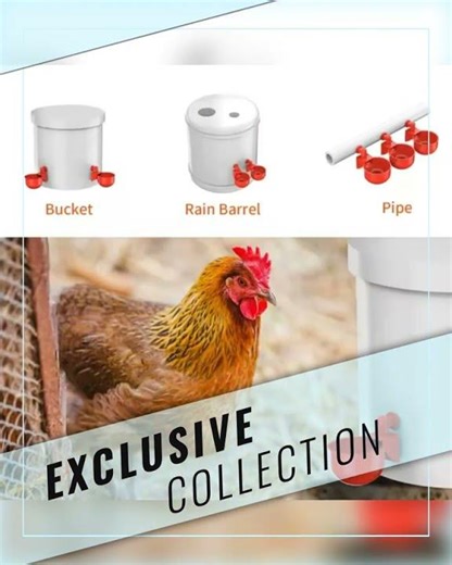 Automatic Water Cups Poultry Drinker Waterer Chicken Duck Quail Drinking Feeders