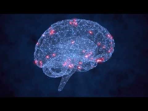 Hidden Facts About the Human Brain That Will Change How You Think.