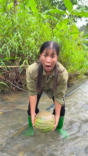 🍉 A Joyful and Exciting Watermelon Harvest on the Farm! 🍉🌱