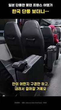 일본 단풍만 쫓던 프랑스 여행가, 내장산 단풍 보더니