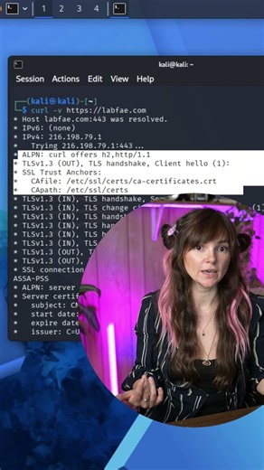 Learn Linux: curl -v