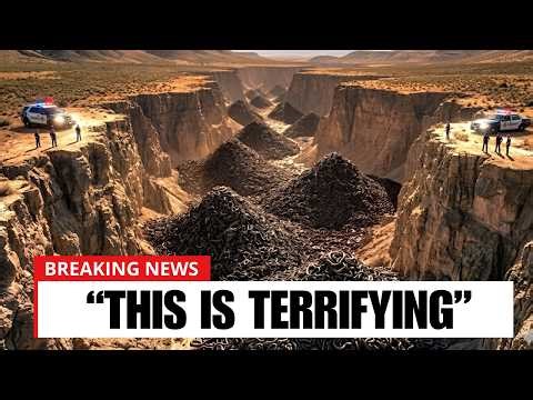 New Footage From Florida’s Swamps Reveals an Aftermath No One Saw Coming