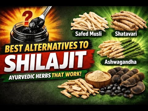 Best Alternatives of Shilajit | Ayurvedic Herbs That Actually Work