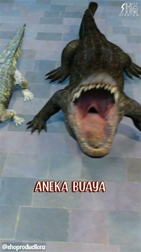 Various unique types of BAJUL crocodile CAIMAN crocodile ALLIGATOR and gavial