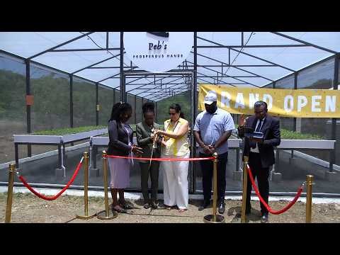 Peb’s Prosperous Hands Greenhouse Boosts Local Food Production In Tobago