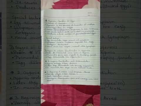 B.Sc. 3rd Semester 🐘🐼🐯 | Unit 1 Gametogenesis | 1.1 Process of spermiogenesis and Oogenesis part-2