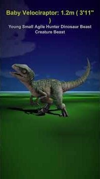 Guide.Jurassic World: Camp Cretaceous characters size comparison.