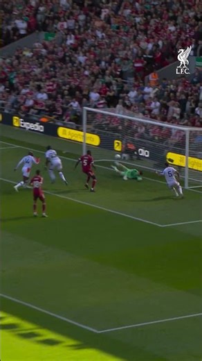 Big saves from Freddie 👏