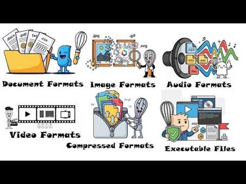 Every file format Explained in 7 Minutes