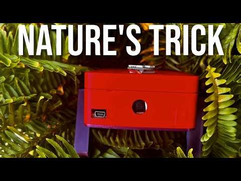 How Nature Solved Robotics