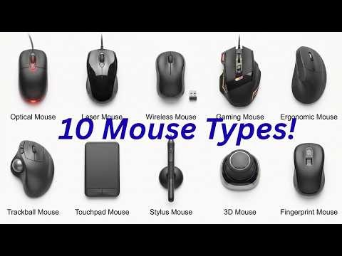 Do You Know All These Mouse Types? 10 Types Explained"