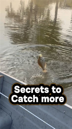 December Crappie Secrets - Catch MORE Slabs FAST! 🎣 #shorts #fishing #crappie