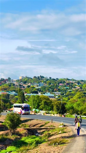 WHITE HORSE 🐎 😍❤️#fypシ゚viral #moyaliso🇪🇹💦🇰🇪💦 #moyale #moyaletiktok #fypシ @LIBAN BUS SERVICE @_Gyptian_Art @_Bazuu_