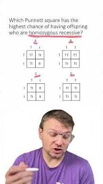 MCQ: Punnett Squares