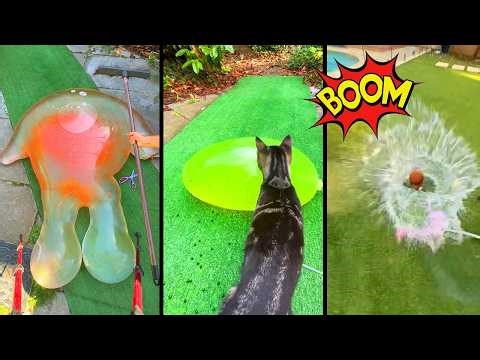 Stretch Toys INFLATE and BURST!💥💧(Cat)