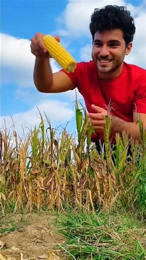 How? Tutorial? Inspired #shorts #vfx #visualeffects #cgi #3d #funny #comedy #education #trending