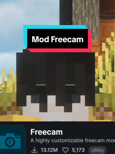 Minecraft Freecam Mod: Explore & Inspect Builds