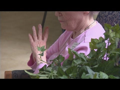 US life expectancy hit an all-time high in 2024: CDC