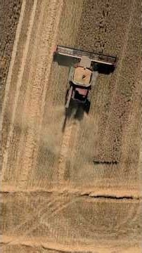 Drought pushes UK farmers to the edge