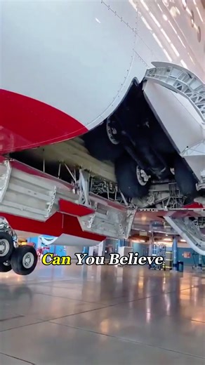 These tires are crazy expensive #aviation #airplane #engineering #foryoupage #Knowledge