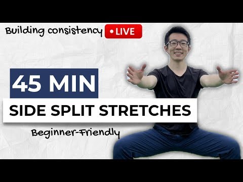 Beginner-Friendly Lower Body and Middle Splits Stretching Follow Along - Home Workout