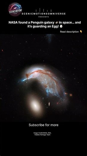 NASA Found a Penguin Galaxy 🐧 Guarding an Egg 326 Million Light-Years Away! 😳