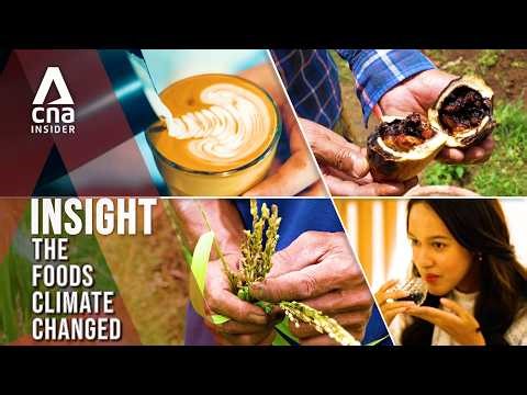 Why Indonesian Coffee, Chocolate, Tea And Rice No Longer Taste The Same | Insight