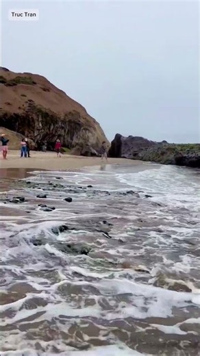 Tunitas Creek Beach, Half Moon Bay