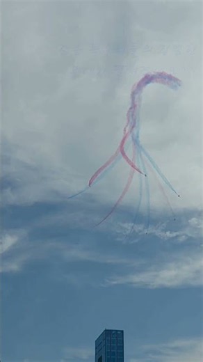 2026 세종한글축제 (feat. Black Eagles)