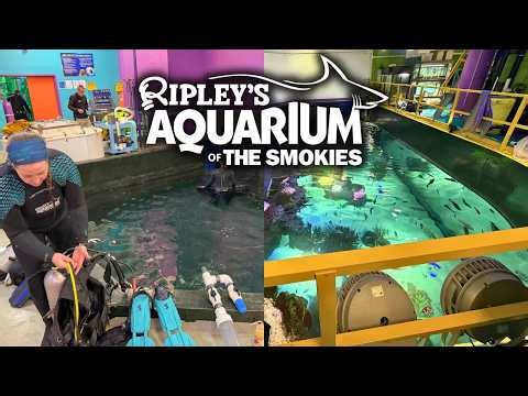Ripley's Aquarium of The Smokies Behind The Scenes Tour