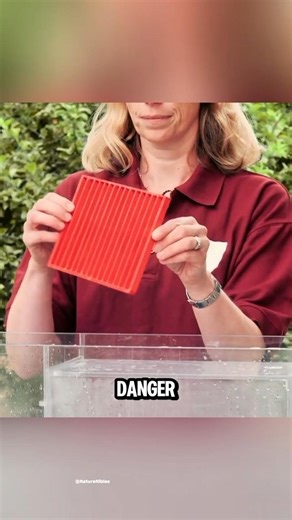 How Dangerous Are River Dams!? 😱
