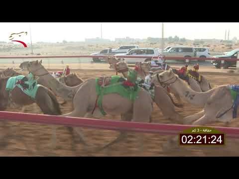 سباق الحقاقة – لهباب 26-12-2025 ش20 المزن لـ سالم بن علي بن خميس العويسي 4:31