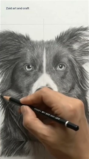 How to Draw a Realistic Dog 🐶✏️ | Easy Pencil Shading Drawing Step by Step #draw #dog #realistic