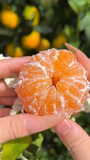 The Bright Orange Inside of This Mandarin