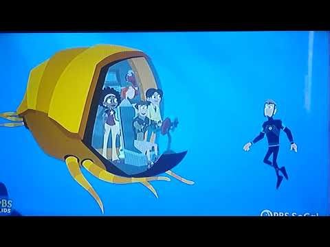 Wild Kratts No Name Dream The Baby Catshark Scene + Ending Scene