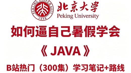 【Java零基础入门】300集Java保姆级教程！从入门到精通，2026最新版，全干货无废话，超详细全套保姆级教程，从零基础到接单赚钱
