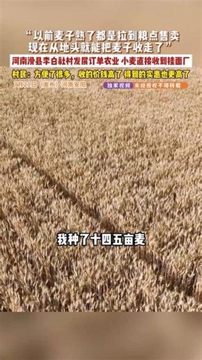 7月21日发布 河南安阳“以前麦子熟了都是拉到粮点售卖，现在从地头就能把麦子收走了。”河南滑县李白社村发展订单农业，小麦直接收到挂面厂。村民：方便了很多，收的价钱高了，得到的实惠也更高了。