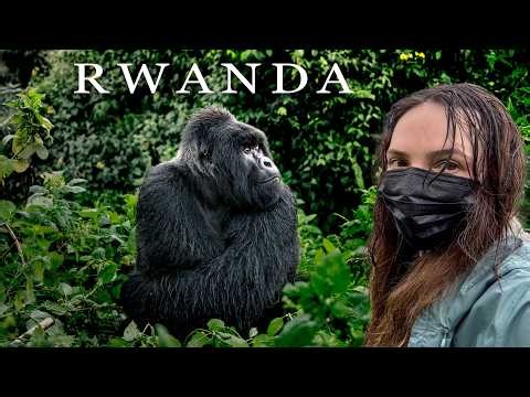 Inside Rwanda 🇷🇼 1 Week Safari (Gorilla & Chimpanzee Trekking)
