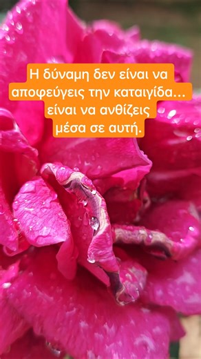 Κάθε σταγόνα βροχής θυμίζει πως ακόμα & τα τριαντάφυλλα ανθίζουν μέσα στις δύσκολες μέρες🌹#fairytale
